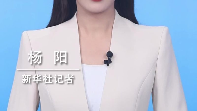 云原生服务网格：Istio与Linkerd的架构与性能对比